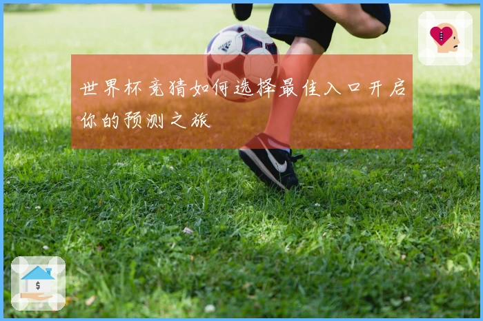 世界杯竞猜如何选择最佳入口开启你的预测之旅